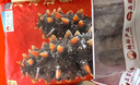 辽参大连海参2斤 20-24只正宗辽参 非即食辽刺参端午礼盒 固形物≥85% 实拍图