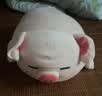 名创优品（MINISO）小猪B-BO弹力超柔趴姿公仔毛绒玩偶儿童玩具抱枕靠枕生日礼物女 实拍图