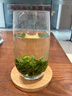 陈一凡 恩施玉露 2026新茶恩施非遗蒸青绿茶茶叶春茶明前自饮袋装250g 实拍图