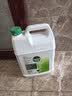 滴露（Dettol）消毒液5L大桶装消毒水家用商用工业车间酒店物业衣物环境消毒杀菌 实拍图