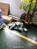 活石（LIVING STONES）遥控汽车四驱可漂移rc遥控车赛车儿童玩具男孩6-10岁生日六一礼物 实拍图