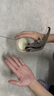 暮秋小主蜜袋鼯活物幼崽小飞鼠会滑翔蜜袋鼠宝宝蜜袋鼬活体宠物鼠活宠 原色蜜情侣组【一对】【推荐】 实拍图