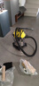 KARCHER德国卡赫价保618桶式吸尘器18L干湿吹三用家用工业开荒装修保洁地毯宠物大容量大功率超强吸力WD1s 实拍图