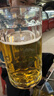 青岛啤酒（TsingTao）经典拉格 浓郁麦香500ml*24罐 整箱装 618超市热卖端午节送礼 实拍图