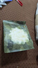 babycare山茶花一次性内裤女孕产妇日抛待产出差旅行XL码15条【安全灭菌】 实拍图