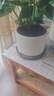 陶瓷花盆绿植盆栽亚光北欧风简约花盆大号桌面绿植盆送塑料托盘 白色 特大号（20*20*16） 实拍图