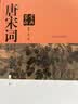 唐宋词鉴赏辞典（新一版）套装共2册 小说 实拍图
