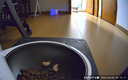 小佩宠物AI智能自动喂食器可视版 定时定量 视频监控(支持鸿蒙智联) 实拍图