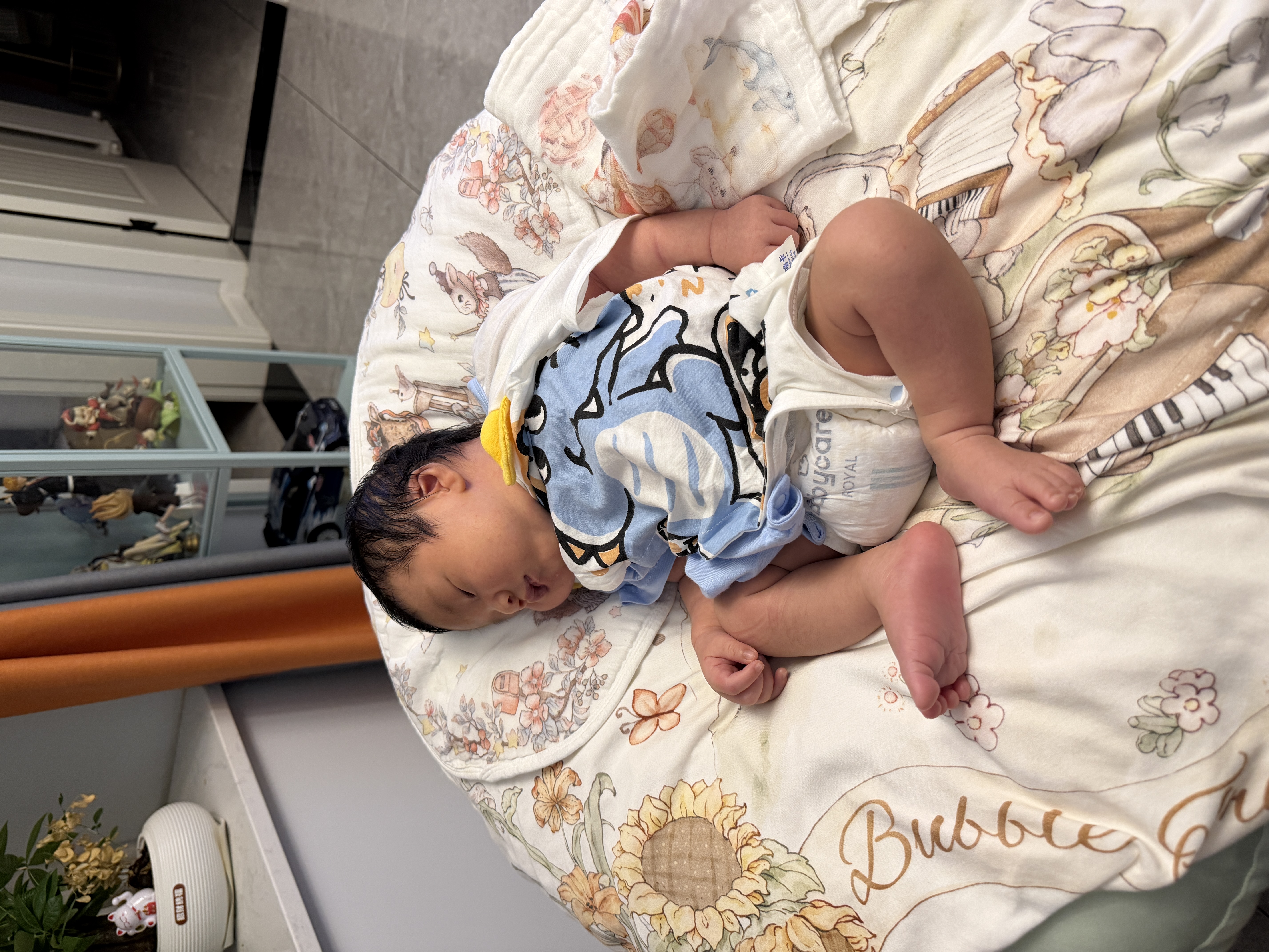 babycare皇室弱酸纸尿裤SMXL婴儿尿不湿狮子王国干爽透气bbc拉拉裤 纸尿裤 S码 58片 实拍图