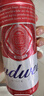 百威【梅西同款】经典红罐啤酒450mL 18罐整箱装喜宴端午送礼 实拍图