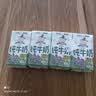 华西A2β酪蛋白纯牛奶儿童牛奶早餐营养125ml*4盒 口感清甜 实拍图