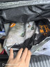 亿迪 猫粮冻干10斤成猫幼猫国产全价布偶蓝猫银渐层全阶段专用 实拍图