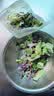 绿食者 蔬菜沙拉150g*3包 生吃蔬菜组合西餐色拉生菜健身轻食沙拉新鲜 沙拉菜3包-无沙拉酱 实拍图