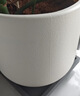 花盆绿植盆栽百搭欧式创意型树脂花盆阳台户外龟背竹绿植大花盆 酒杯盆240【27.5*36.8】送移动托 一套装 实拍图