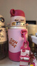 babycare儿童水杯6个月以上宝宝霸王龙不锈钢保温杯上学450ml-新旧款混发 实拍图