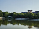 京东京造头层竹青高端丝光竹席【可折叠双面可用】凉席双人夏天单席1.8米 实拍图