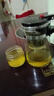 飘逸壶泡茶壶耐热高温玻璃沏茶过滤内胆冲茶器家用茶具套装 飘逸杯500mL1个 实拍图