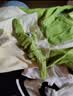 迪迪熊日记（DIDIXIONGRIJI）2件装婴儿衣服夏季短袖薄款连体衣0-6个月新生儿哈衣男女宝宝夏装 短袖(小萌鳄+口袋企鹅) 73cm 适合12-14斤内身高63-70cm 实拍图
