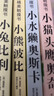 亮丽精美触摸书系列（全4册）小兔比利仿真触摸书幼儿启蒙早教书低幼认知绘本【0-2岁】宝宝绘本省钱卡 实拍图