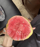 奶油白心红心芭乐 新鲜软糯低卡低热量轻食首先水果 广东双拼芭乐3斤净重2.7斤（红心2粒+白心3-4粒） 实拍图