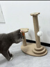 HELLOJOY猫抓板猫爬架一体耐磨不掉屑剑麻抓柱耐抓逗猫棒猫咪玩具自嗨解闷 实拍图