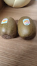 佳沛（zespri）新西兰 金果12粒特大果单果124-146g 端午节礼物水果礼盒 猕猴桃 实拍图