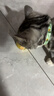 麦富迪猫粮 超肉粒冻干双拼成猫粮美毛护肠三文鱼10kg/20斤【宠物金选】 实拍图