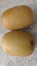 佳沛（zespri）新西兰 金果25-27粒特大单果124-146g 端午礼物水果礼盒 猕猴桃 实拍图