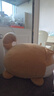 名创优品（MINISO）趣味阿柴弹力超柔趴姿公仔毛绒玩偶儿童玩具抱枕靠枕生日礼物女 实拍图