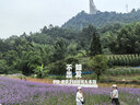 维德氧气瓶便携式供氧孕妇老人外出吸氧高原旅游应急氧气罐1400ml*8瓶 实拍图