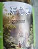 开心果无漂白原味原色特大颗粒新货孕妇坚果添加年货零食批发 开心果 100g*1罐 实拍图