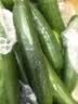 京喜加寿光新鲜无刺水果小黄瓜小青瓜脆甜荷兰脆嫩生吃黄瓜蔬菜 水果黄瓜 5斤 实拍图