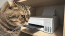 爱普生（EPSON）【6代新品】L1358 墨仓式A4彩色无线单功能家用打印机 家用/办公 AI学习打印机（微信/远程打印） 实拍图