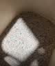 HONEYCARE好命家 好命天生宠物尿垫狗狗尿片魔法漏斗除味狗尿布M码 实拍图