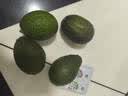 鲜青录秘鲁进口牛油果鳄梨奶油酷热带新鲜宝宝孕妇水果 520g划算【4个中大果 单果130-160g 实拍图