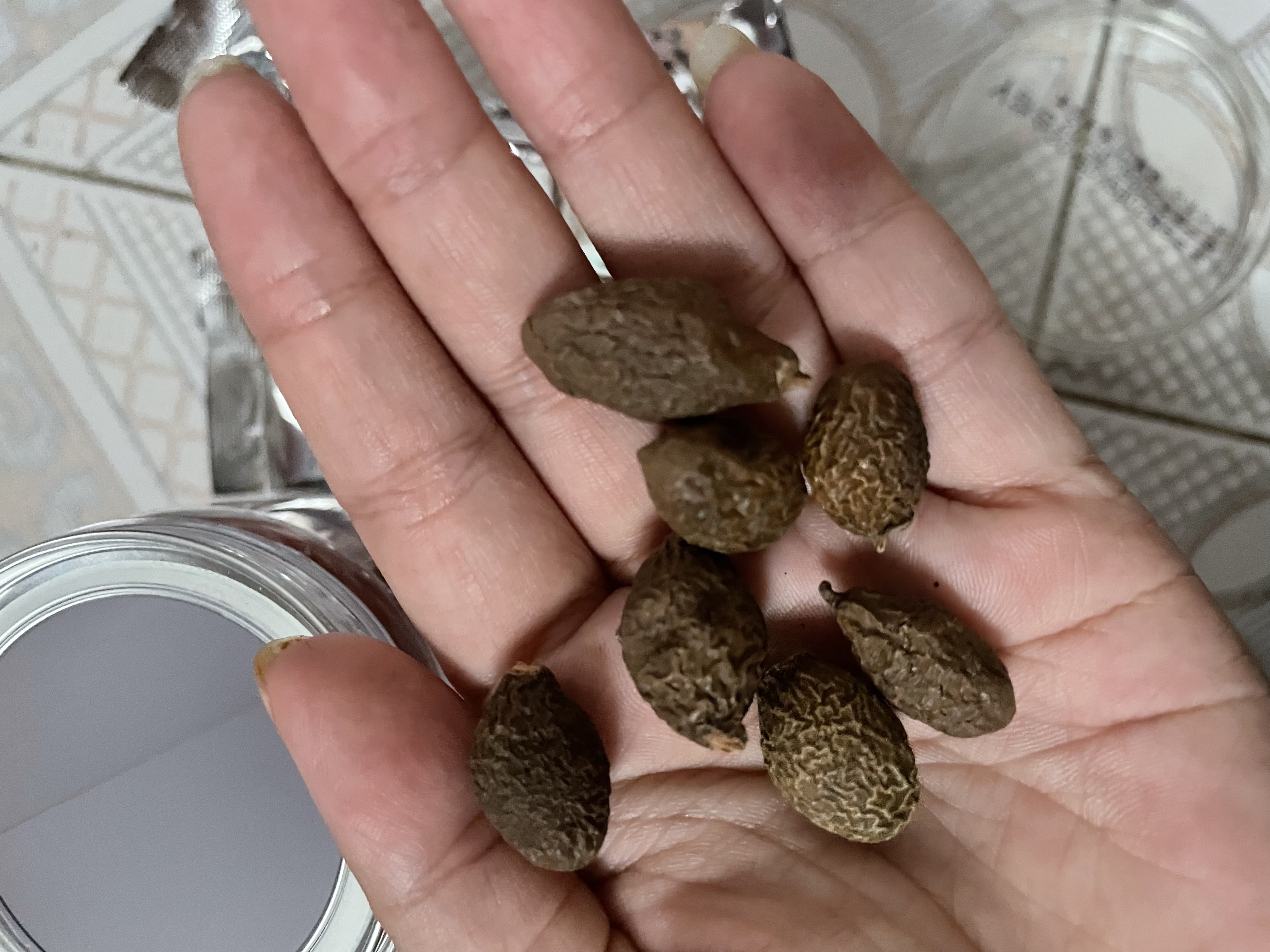 南京同仁堂胖大海茶搭罗汉果疼冲泡水润嗓子化清喉肺痰罐装特中药材级养生茶 实拍图