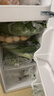 新飞冰箱小型租房用 一级能效冷 藏冷冻两用1-2人家用小冰箱 出租房双门电冰箱办公室两门 26年旗舰 90A一级能效【旗舰升级】银 实拍图
