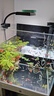 尼奥光（NEO-HELIOS）鱼缸灯水草灯LED灯S3pro+RGB植物光谱 【二代】8W新款尼奥S3pro【高亮自然】 实拍图