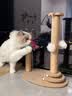 HELLOJOY猫抓板猫爬架一体耐磨不掉屑剑麻抓柱耐抓逗猫棒猫咪玩具自嗨解闷 实拍图