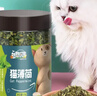 憨憨乐园猫薄荷天然猫薄荷 幼猫零食猫薄荷 猫薄荷20g猫咪专用零食 实拍图