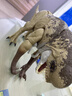 Jurassic World生日礼物男孩侏罗纪世界：重生大电影之畸王龙霸王龙JGB58 实拍图