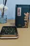 佰儒茉莉花茶叶茉莉飘雪2026新茶特级正宗浓香型泡水自己喝送礼250g 实拍图