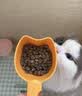 麦富迪猫粮 barf霸弗天然猫粮冻干生骨肉高蛋白成猫粮养胃增肌牛肉5.4kg 实拍图