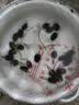 多肉植物组合套餐新手好养懒人绿植居家超萌办公室窗台氛围感盆栽 多肉植物 随机一颗带盆带土 实拍图
