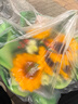 艾斯维娜鲜花速递向日葵混搭花束生日礼物全国同城配送 6朵向日葵大气款 实拍图