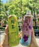 道地（TAO-TI）苹果茉莉绿茶饮料500ml*15瓶 实拍图