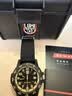 雷美诺时（Luminox）海龟0320 瑞士表鲁美诺斯运动防水100米石英男表XS.0333送礼好物 实拍图