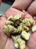 新货云南高原生态核桃薄壳核桃老树山核桃无水洗无漂白薄皮干核桃 大果云南老树薄皮核桃5斤+夹子 实拍图