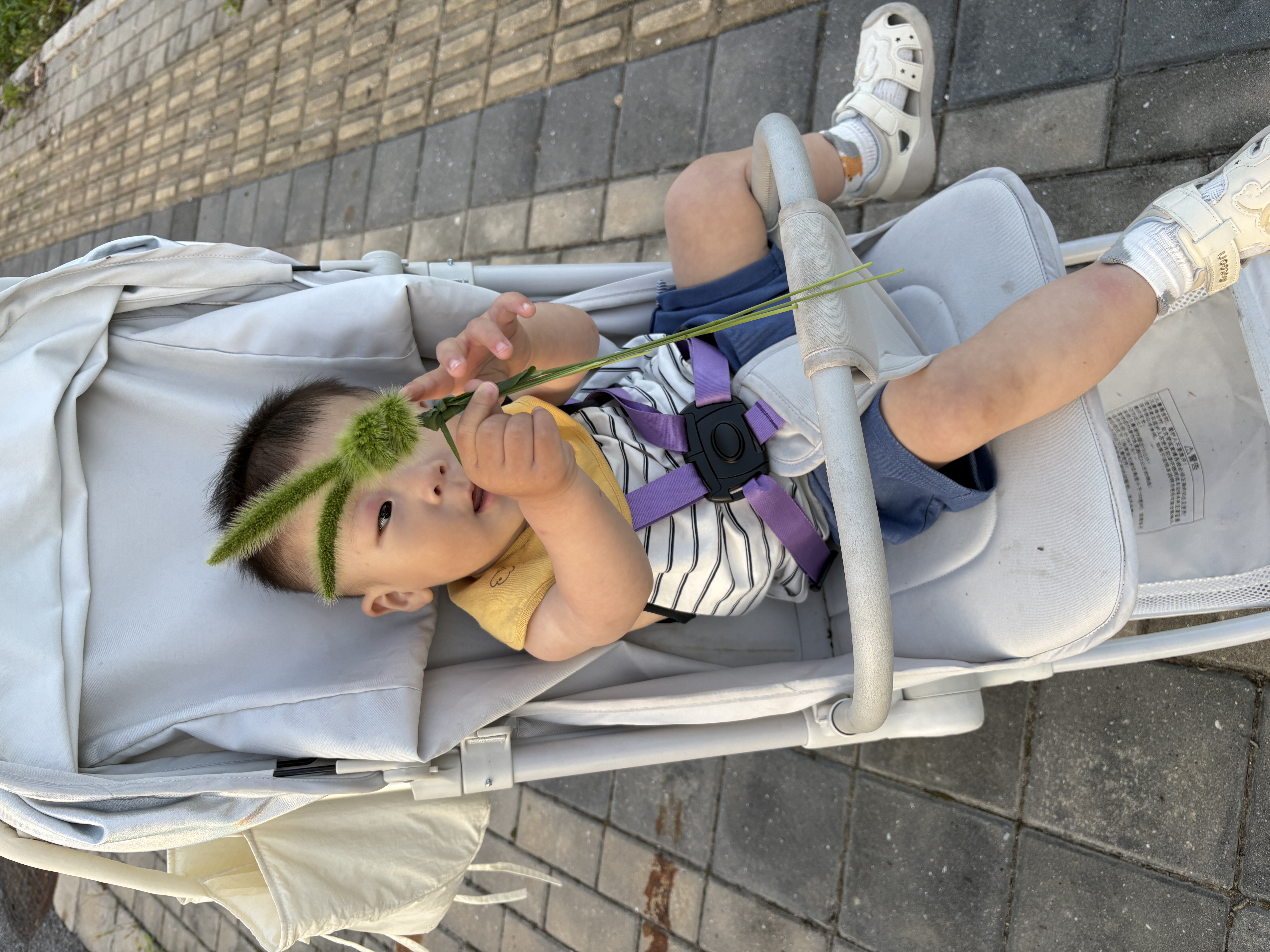 巴拉巴拉童装儿童短裤男童2026夏季休闲裤女童裤子宝宝薄款纯棉七分裤婴儿 实拍图