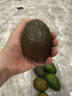 京鲜生 秘鲁牛油果6粒装 单果180g+(非即食)  新鲜水果  实拍图